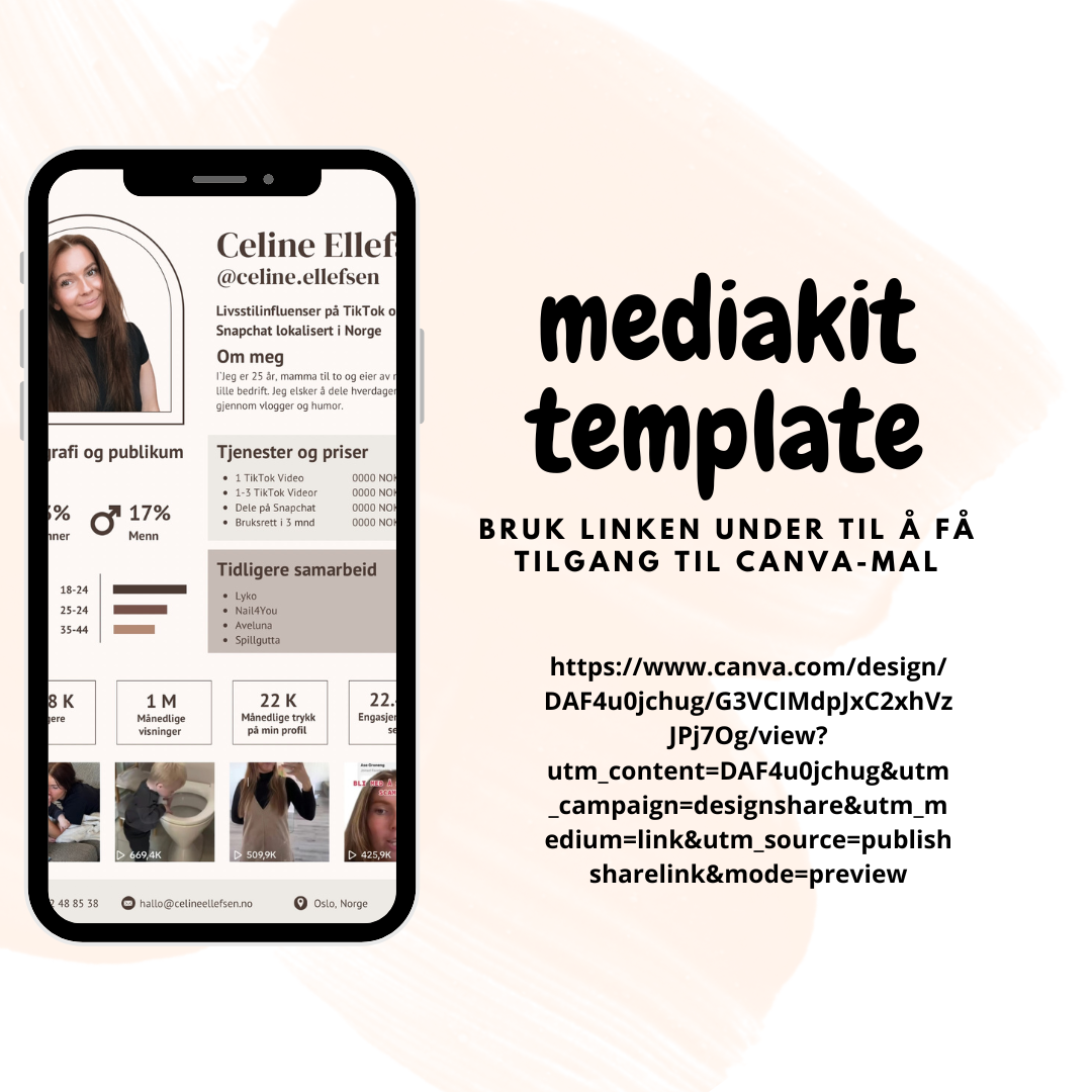 MEDIAKIT INFLUENSER MAL